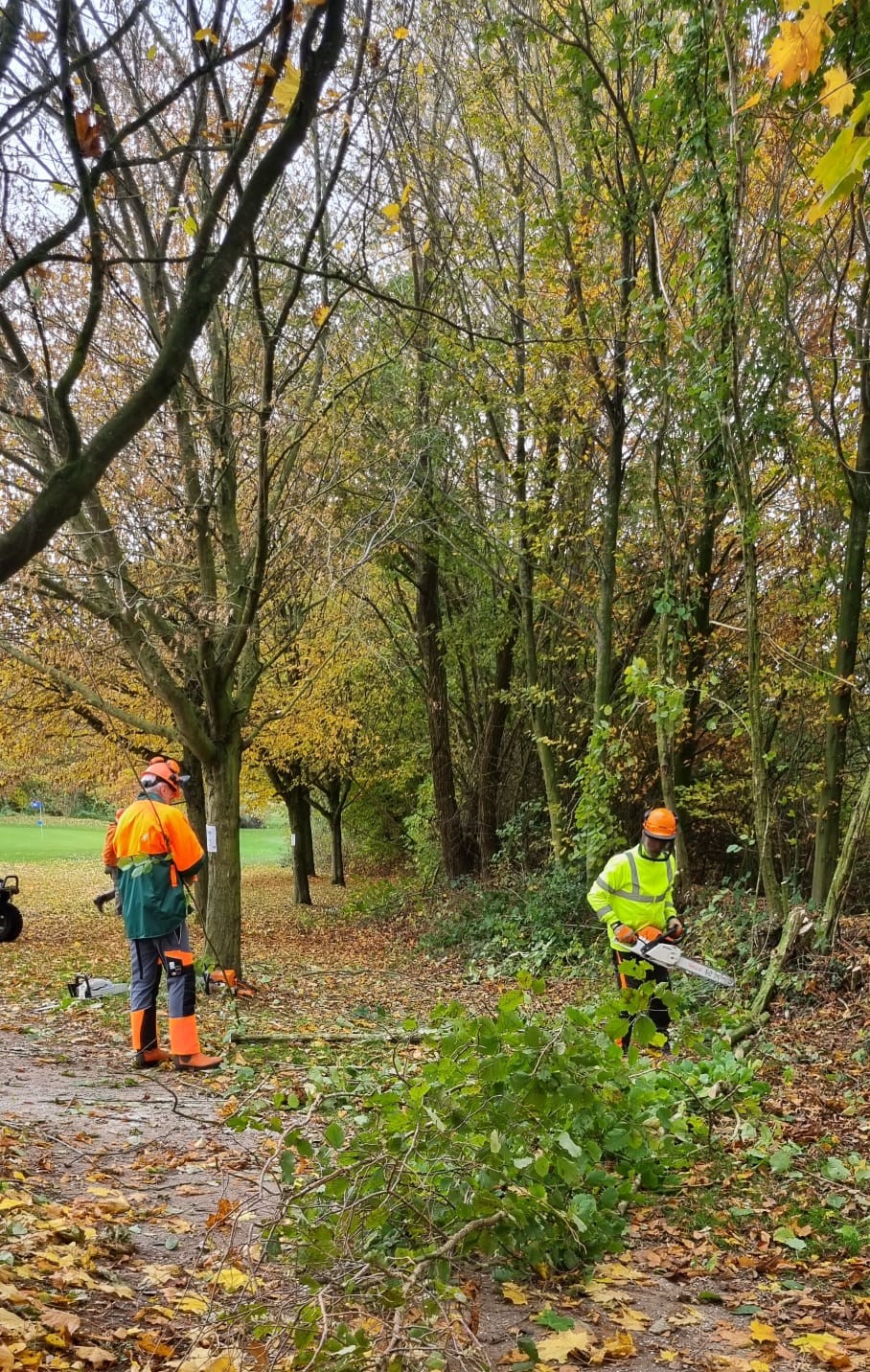 Holzwurm AG bei der Arbeit